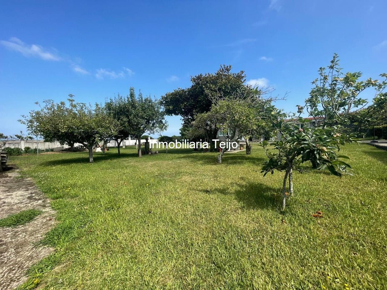 Foto 10 SE VENDE CHALET CON FINCA CERRADA, BODEGA Y GARAJE EN VALDOVIÑO