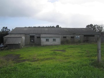 SE VENDE EXPLOTACIÓN AGRARIA EN SAN MATEO - Narón