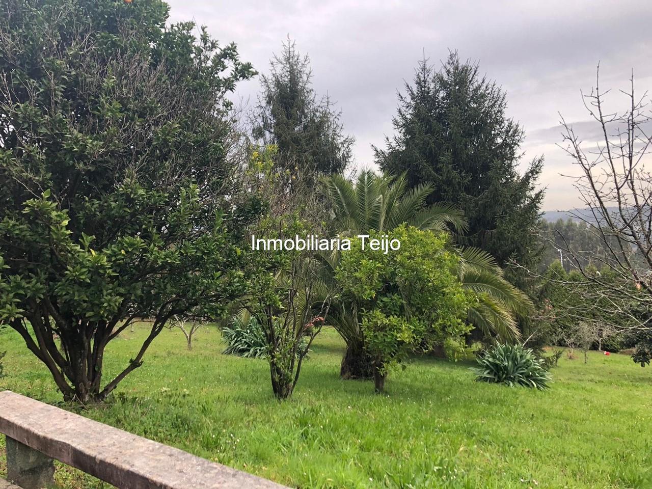 Foto 20 SE VENDE FINCA CON FIN DE SEMANA EN NEDA