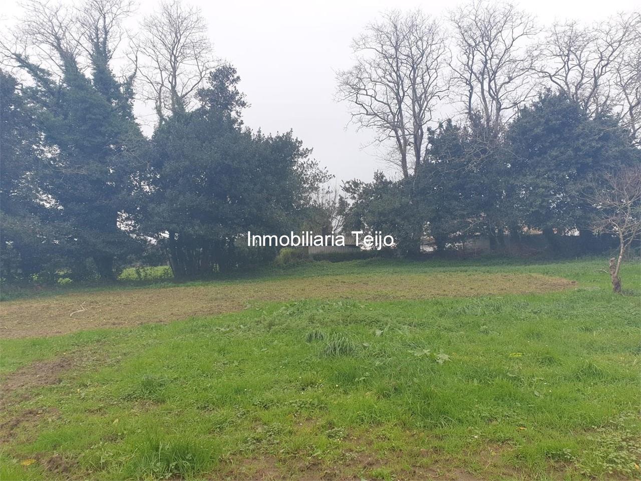 Foto 1 SE VENDE FINCA EDIFICABLE EN CASTRO