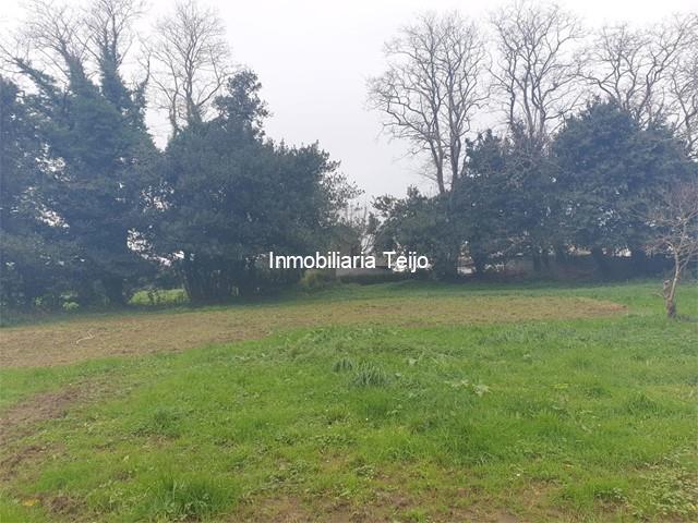 SE VENDE FINCA EDIFICABLE EN CASTRO - Narón
