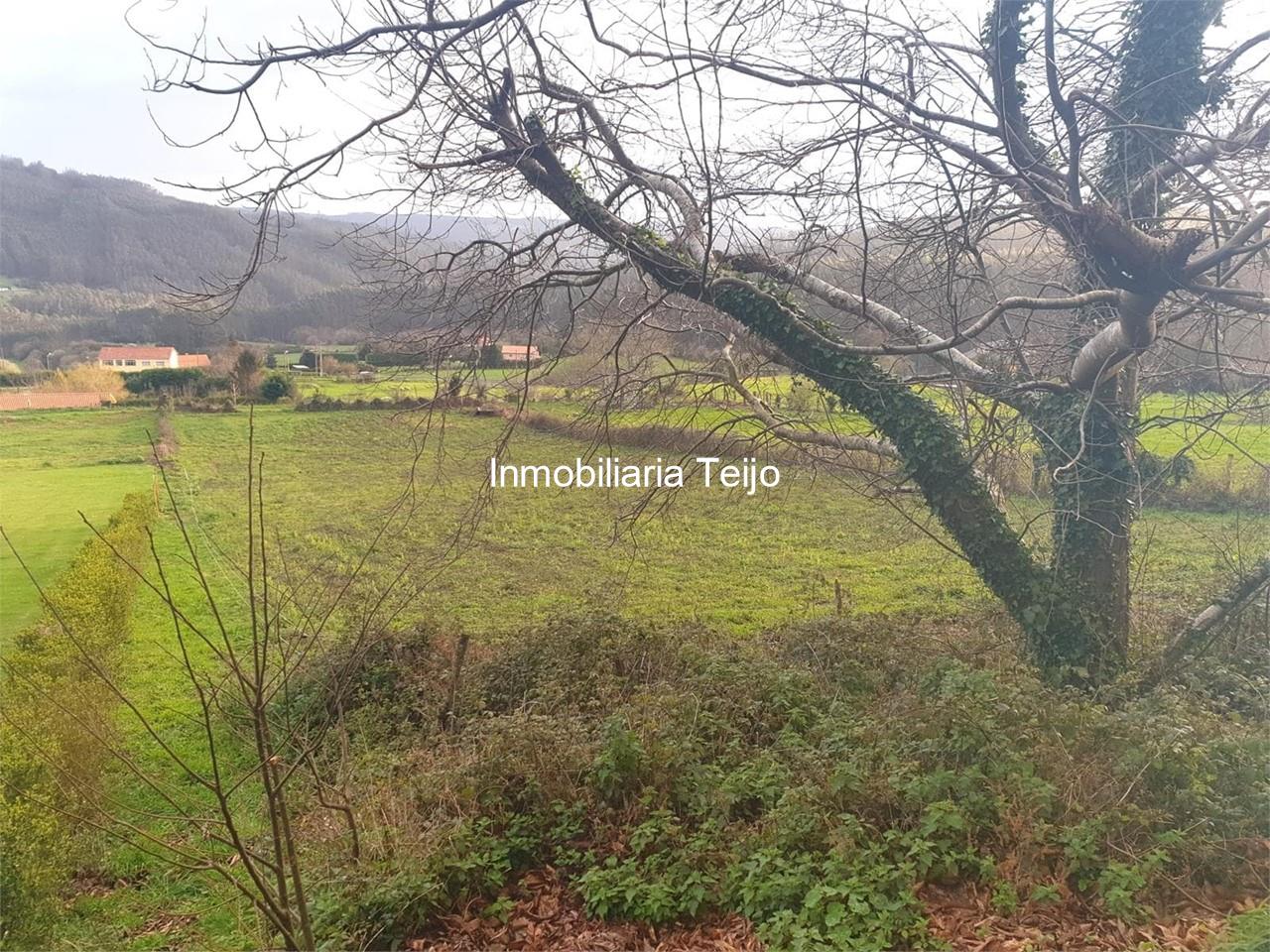 Foto 1 SE VENDE FINCA EDIFICABLE EN CEDEIRA