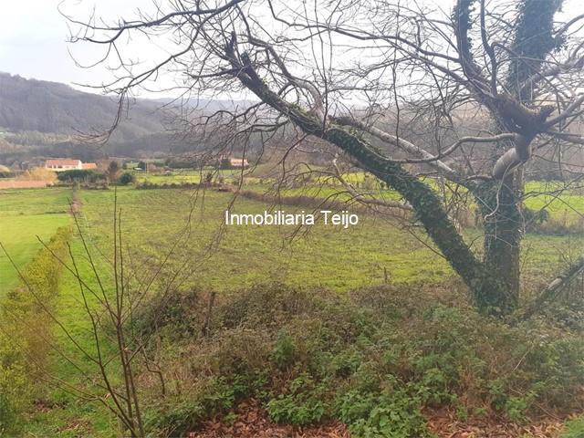 SE VENDE FINCA EDIFICABLE EN CEDEIRA