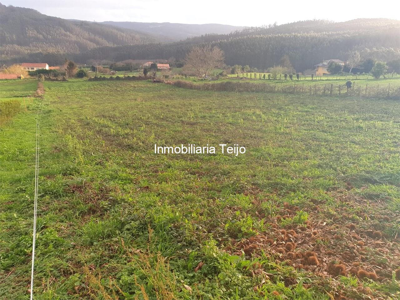 Foto 2 SE VENDE FINCA EDIFICABLE EN CEDEIRA