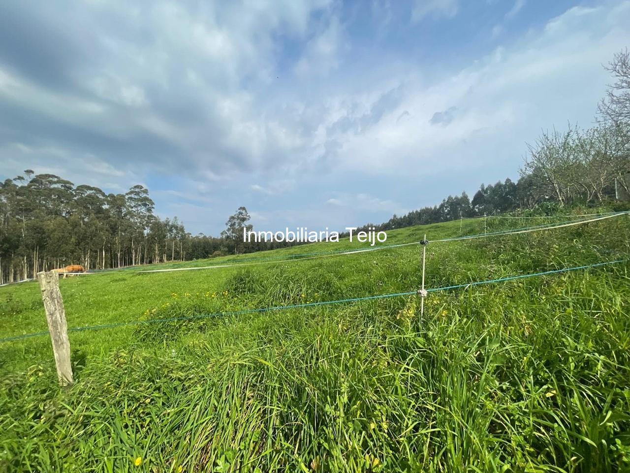 Foto 1 SE VENDE FINCA EDIFICABLE EN CERDIDO PARA 2 VIVIENDAS UNIFAMILIARES