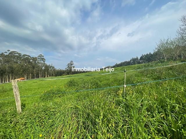 SE VENDE FINCA EDIFICABLE EN CERDIDO PARA 2 VIVIENDAS UNIFAMILIARES