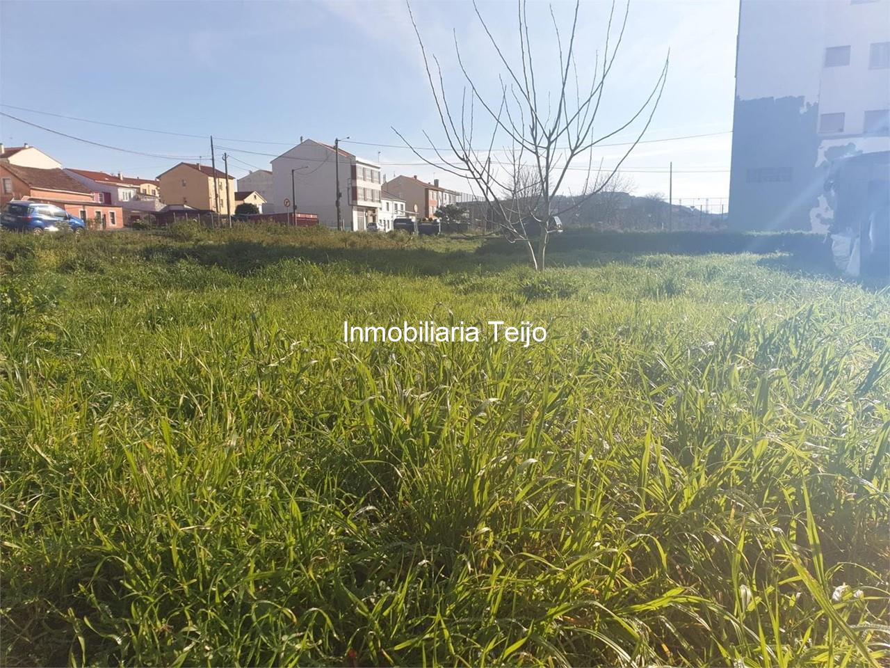 Foto 1 SE VENDE FINCA EDIFICABLE EN FREIXEIRO