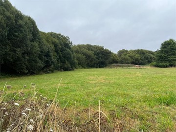 SE VENDE FINCA EN MANDIÁ - Ferrol