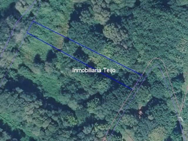 SE VENDE FINCA RÚSTICA CON ARBOLEDA AUTÓCTONA EN SAN SADURNIÑO