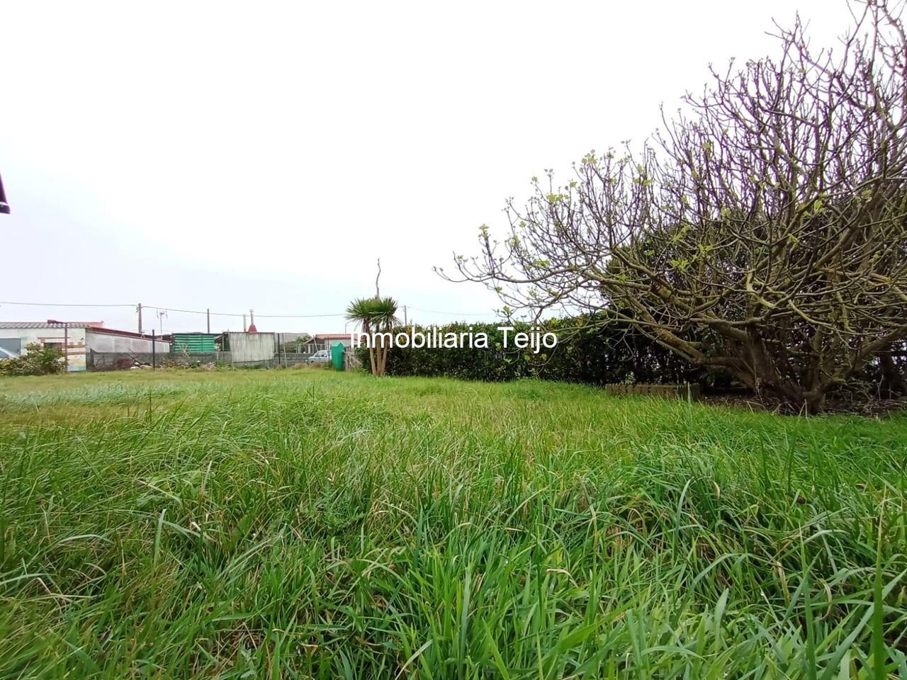 Foto 1 SE VENDE FINCA RÚSTICA CON FIN DE SEMANA A 50 METROS DE LA PLAYA