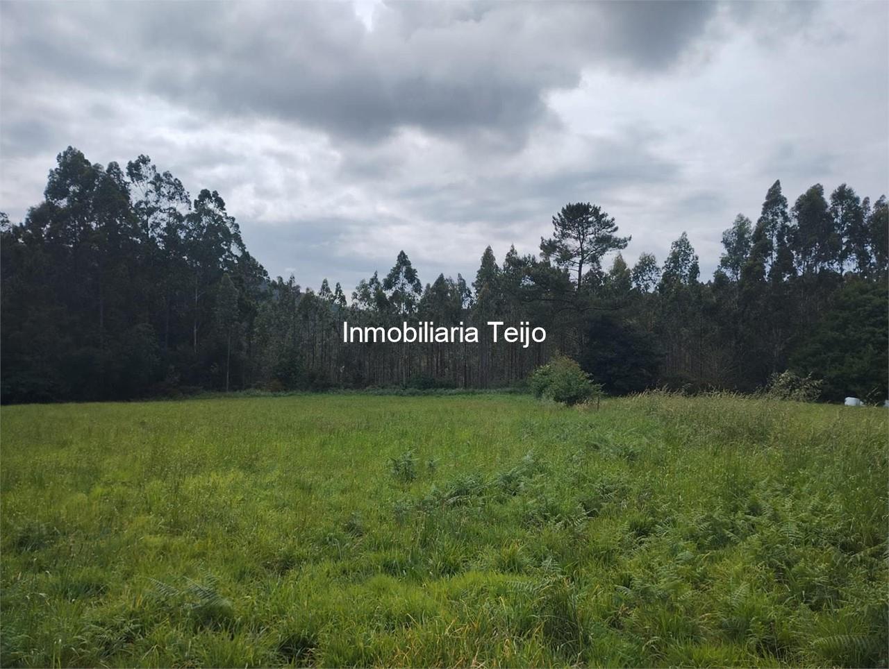 Foto 1 SE VENDE FINCA RUSTICA EN ANCA (NEDA) 8 FERRADOS