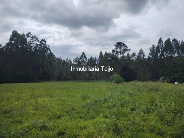 SE VENDE FINCA RUSTICA EN ANCA (NEDA) 8 FERRADOS