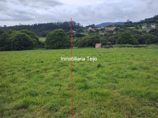 SE VENDE FINCA RUSTICA EN ANCA - Neda