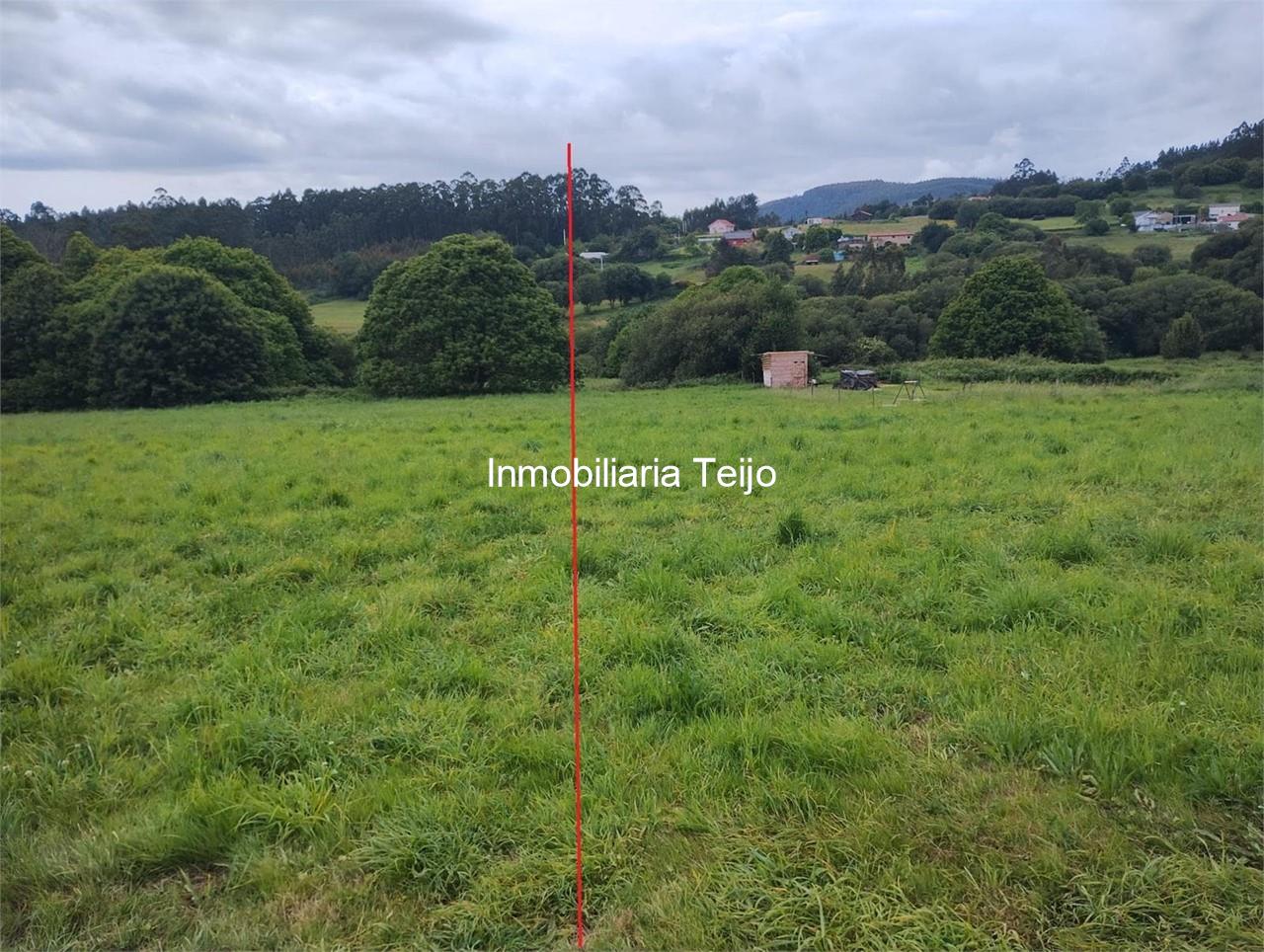 Foto 1 SE VENDE FINCA RUSTICA EN ANCA