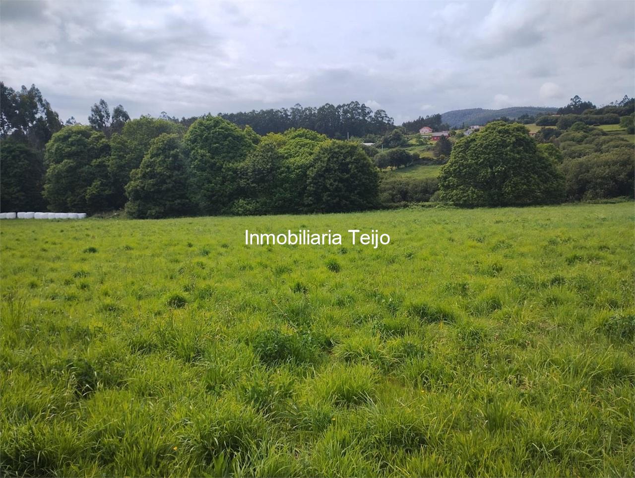 Foto 2 SE VENDE FINCA RUSTICA EN ANCA