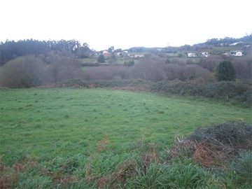 SE VENDE FINCA RUSTICA EN ANCA - Neda
