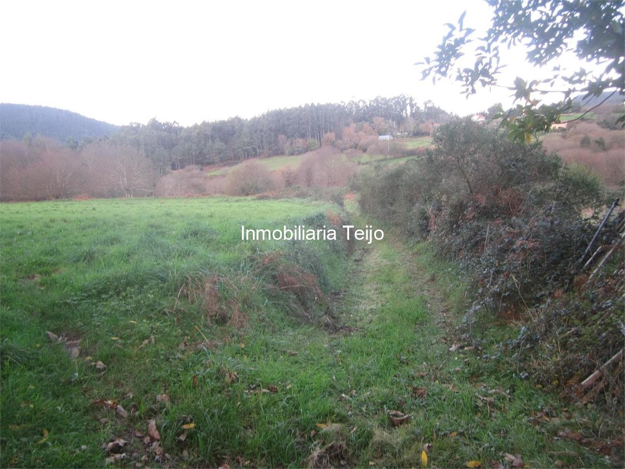 Foto 6 SE VENDE FINCA RUSTICA EN ANCA