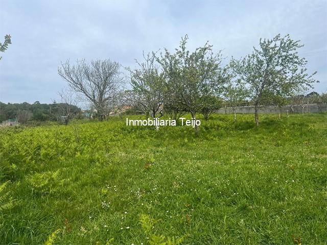 SE VENDE FINCA RÚSTICA EN CATABOIS - Ferrol