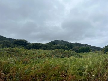SE VENDE FINCA RUSTICA EN DONIÑOS - Ferrol