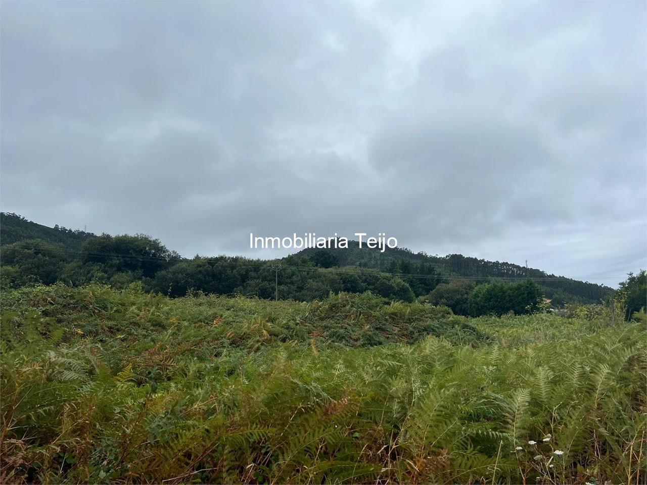 Foto 1 SE VENDE FINCA RUSTICA EN DONIÑOS