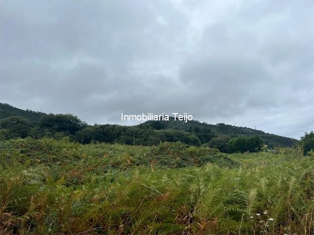 SE VENDE FINCA RUSTICA EN DONIÑOS - Ferrol