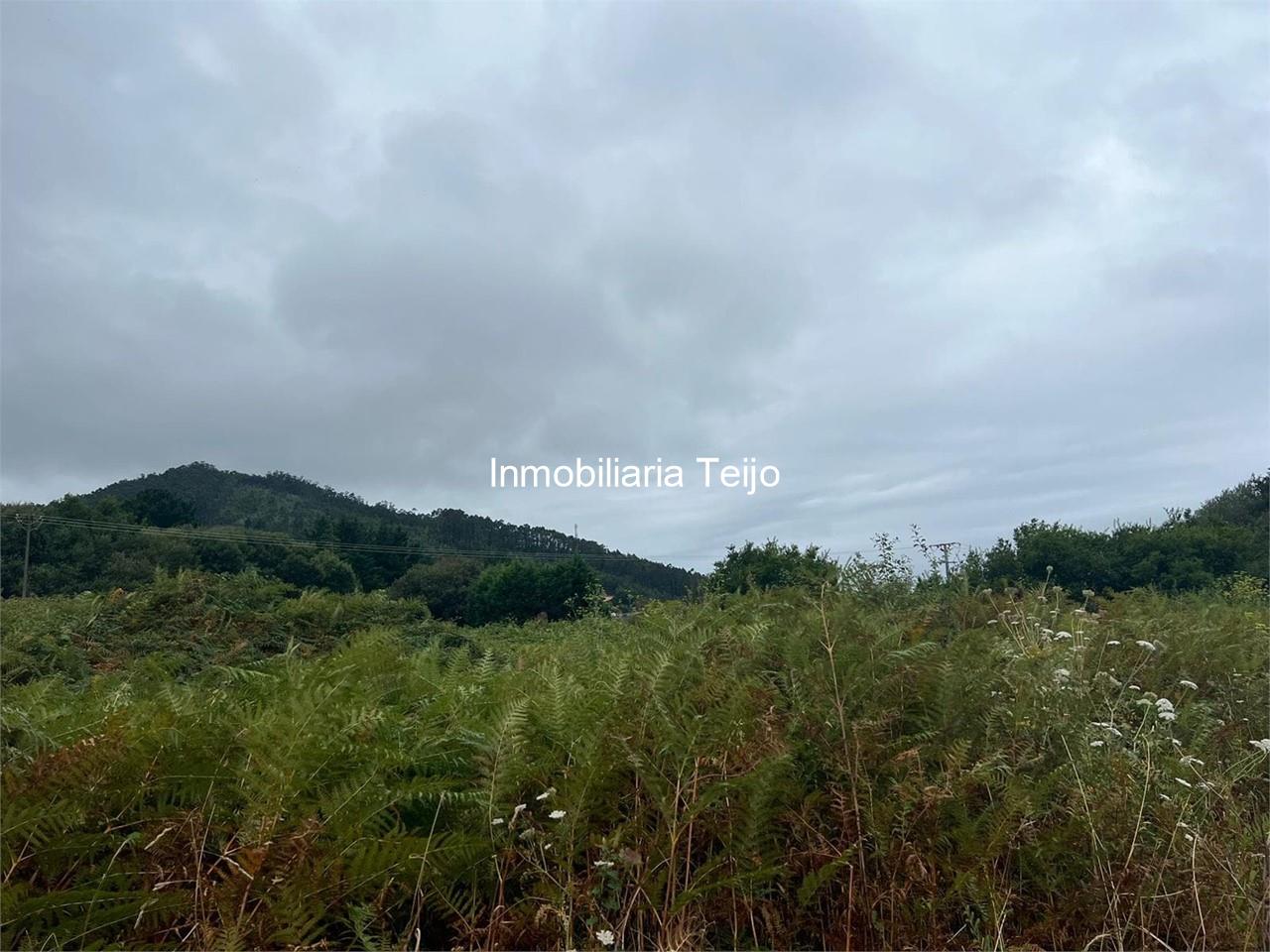 Foto 2 SE VENDE FINCA RUSTICA EN DONIÑOS