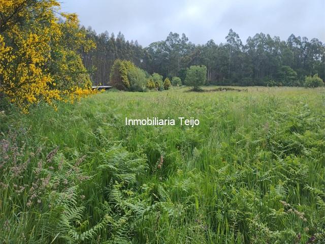 SE VENDE FINCA RÚSTICA EN MOECHE