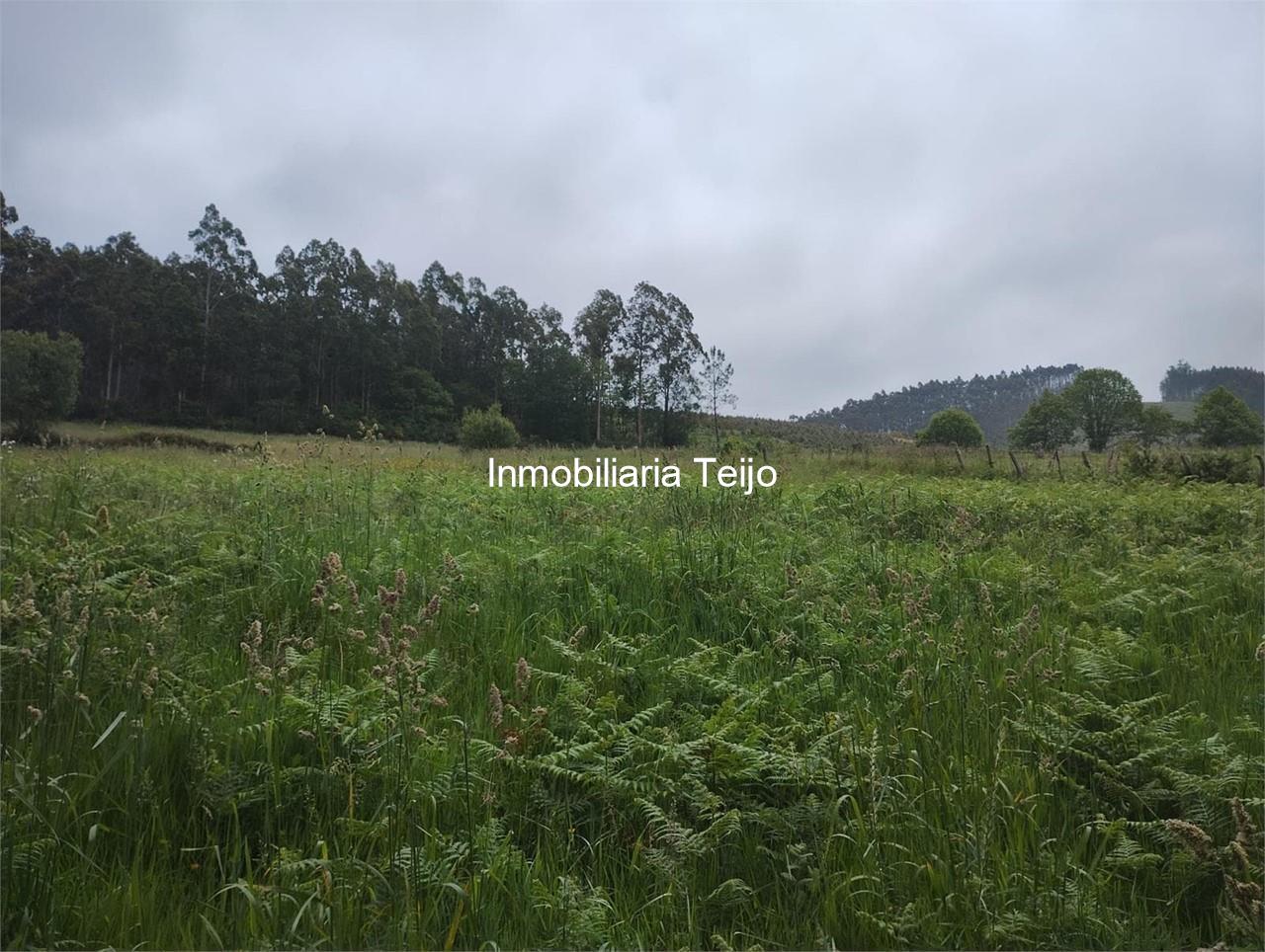 Foto 4 SE VENDE FINCA RÚSTICA EN MOECHE