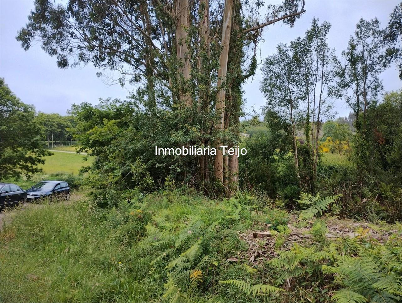 Foto 5 SE VENDE FINCA RÚSTICA EN MOECHE