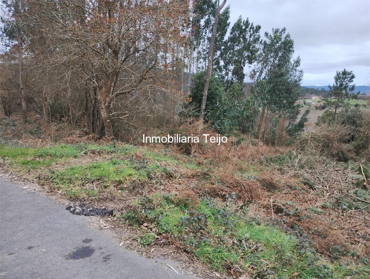 Foto 1 SE VENDE FINCA RUSTICA EN NEDA