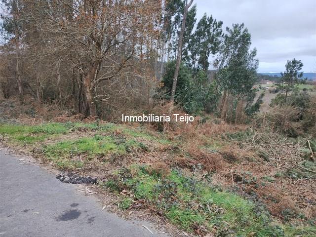 SE VENDE FINCA RUSTICA EN NEDA