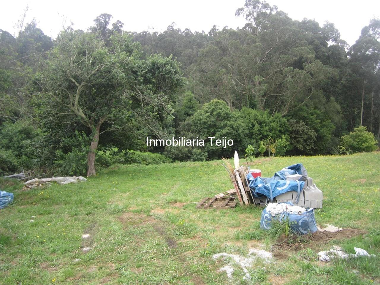 Foto 2 SE VENDE FINCA RÚSTICA EN NEDA