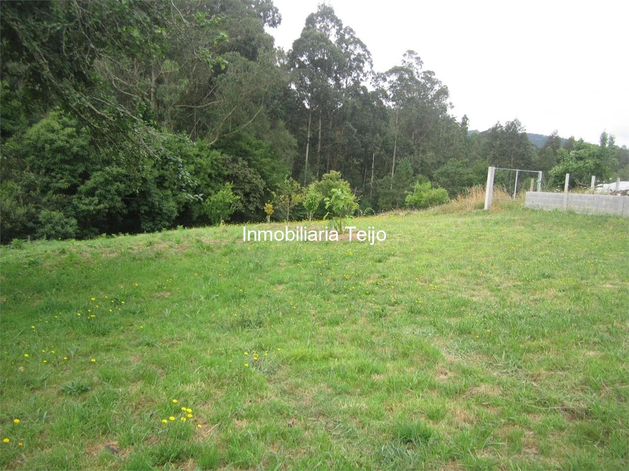 Foto 4 SE VENDE FINCA RÚSTICA EN NEDA