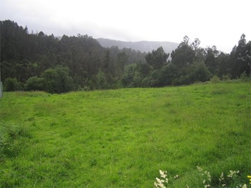 SE VENDE FINCA RUSTICA EN NEDA