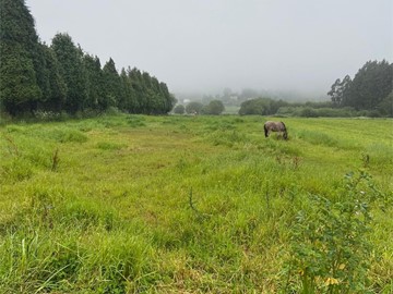 SE VENDE FINCA RÚSTICA EN SAN MATEO - Narón