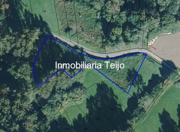 Foto 4 SE VENDE FINCA RUSTICA EN VILARMAIOR