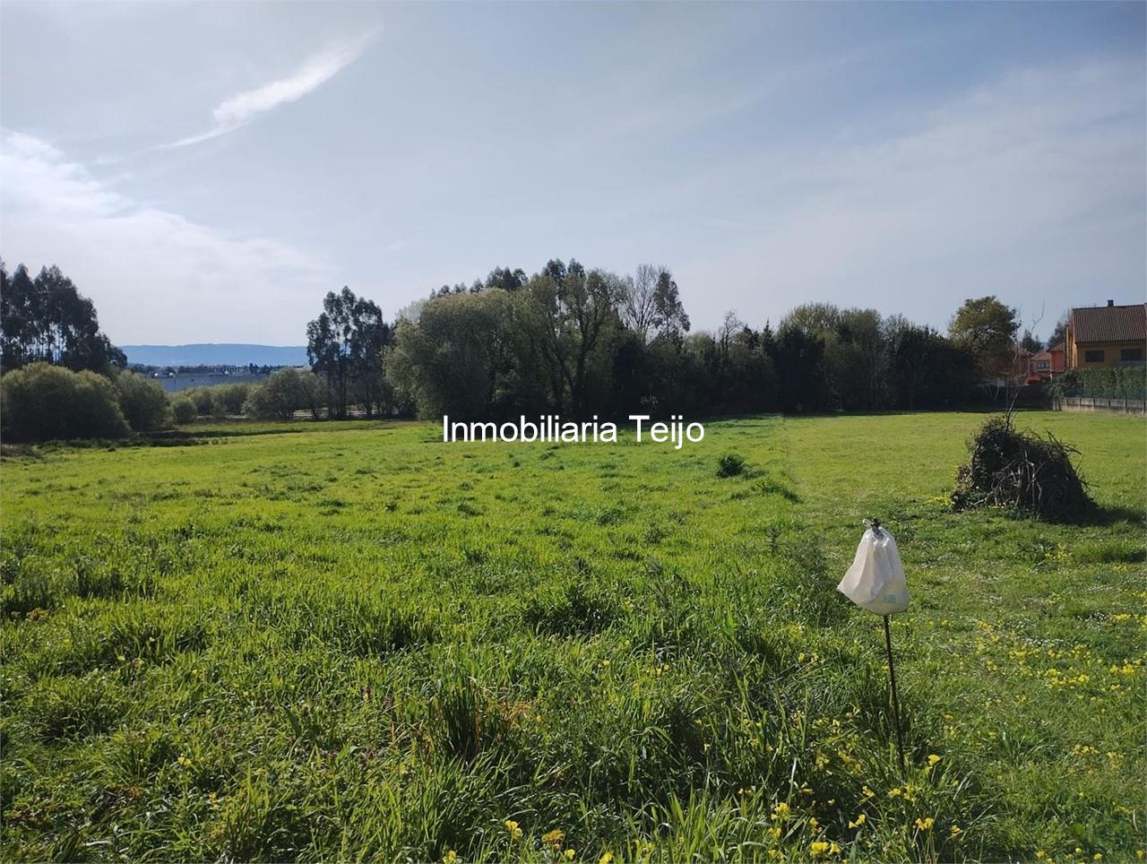 Foto 1 SE VENDE FINCA RÚSTICA PRÓXIMO A CIUDAD JARDÍN Y HOSPITAL