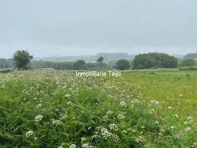SE VENDE FINCA RÚSTICA  - Narón