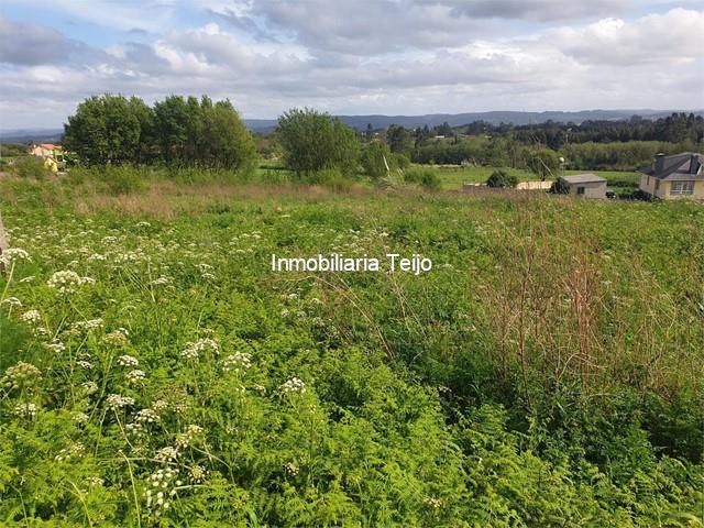 SE VENDE FINCA URBANA EN MANDIÁ - Ferrol