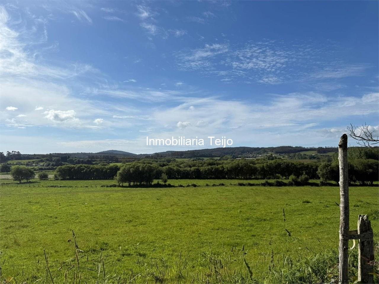 Foto 1 SE VENDE PARCELA DE 1,75 HA CON EDIFICACIÓN EN MOECHE