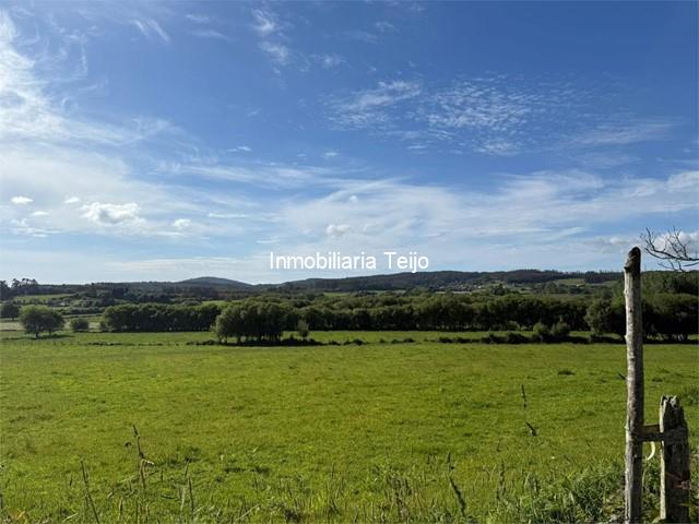 SE VENDE PARCELA DE 1,75 HA CON EDIFICACIÓN EN MOECHE