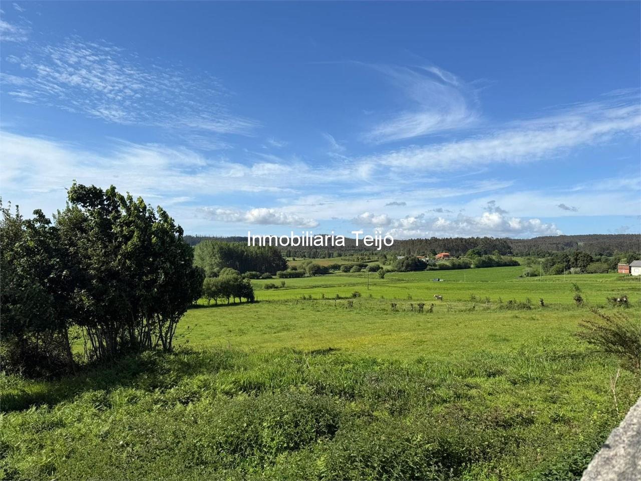 Foto 3 SE VENDE PARCELA DE 1,75 HA CON EDIFICACIÓN EN MOECHE