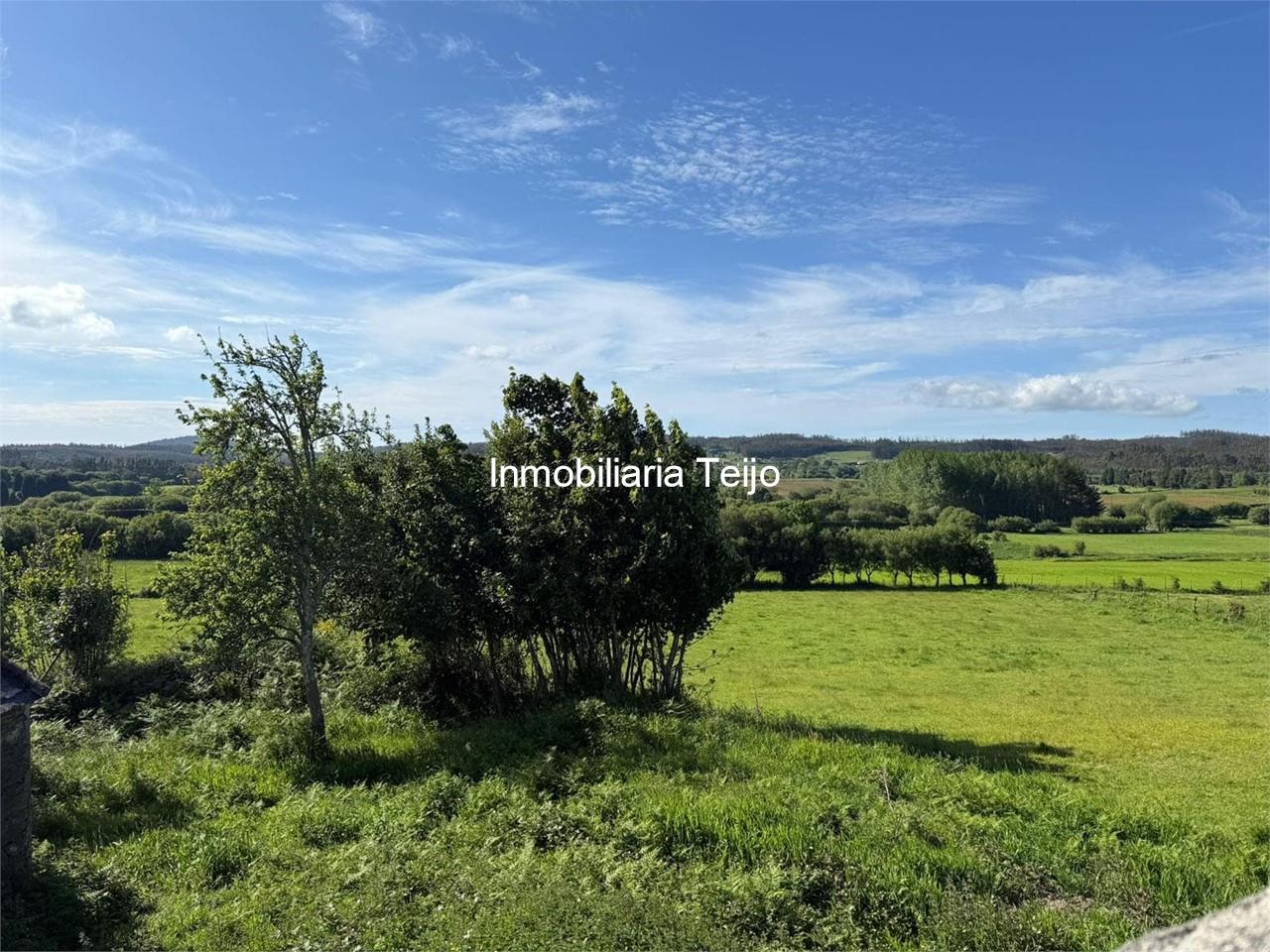Foto 4 SE VENDE PARCELA DE 1,75 HA CON EDIFICACIÓN EN MOECHE