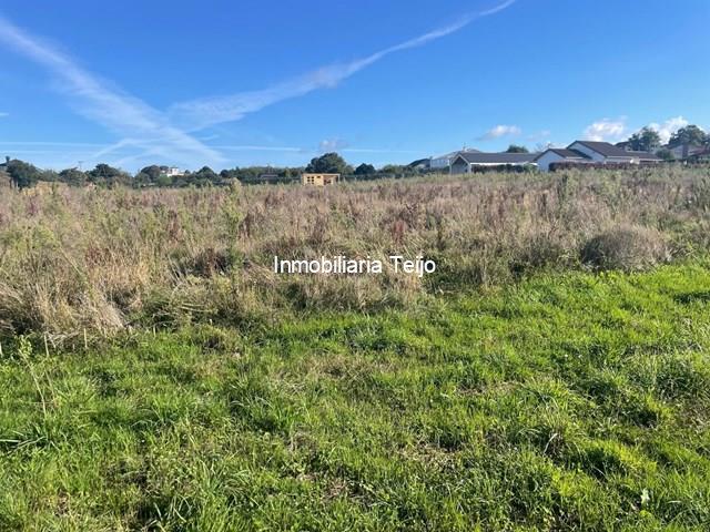 SE VENDE SOLAR EDIFICABLE Y SEGREGABLE PARA 8 VIVIENDAS UNIFAMILIARES EN CASTRO - Narón