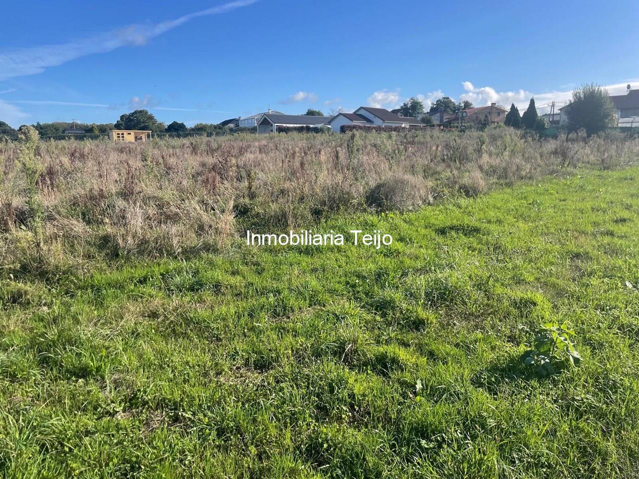 Foto 2 SE VENDE SOLAR EDIFICABLE Y SEGREGABLE PARA 8 VIVIENDAS UNIFAMILIARES EN CASTRO