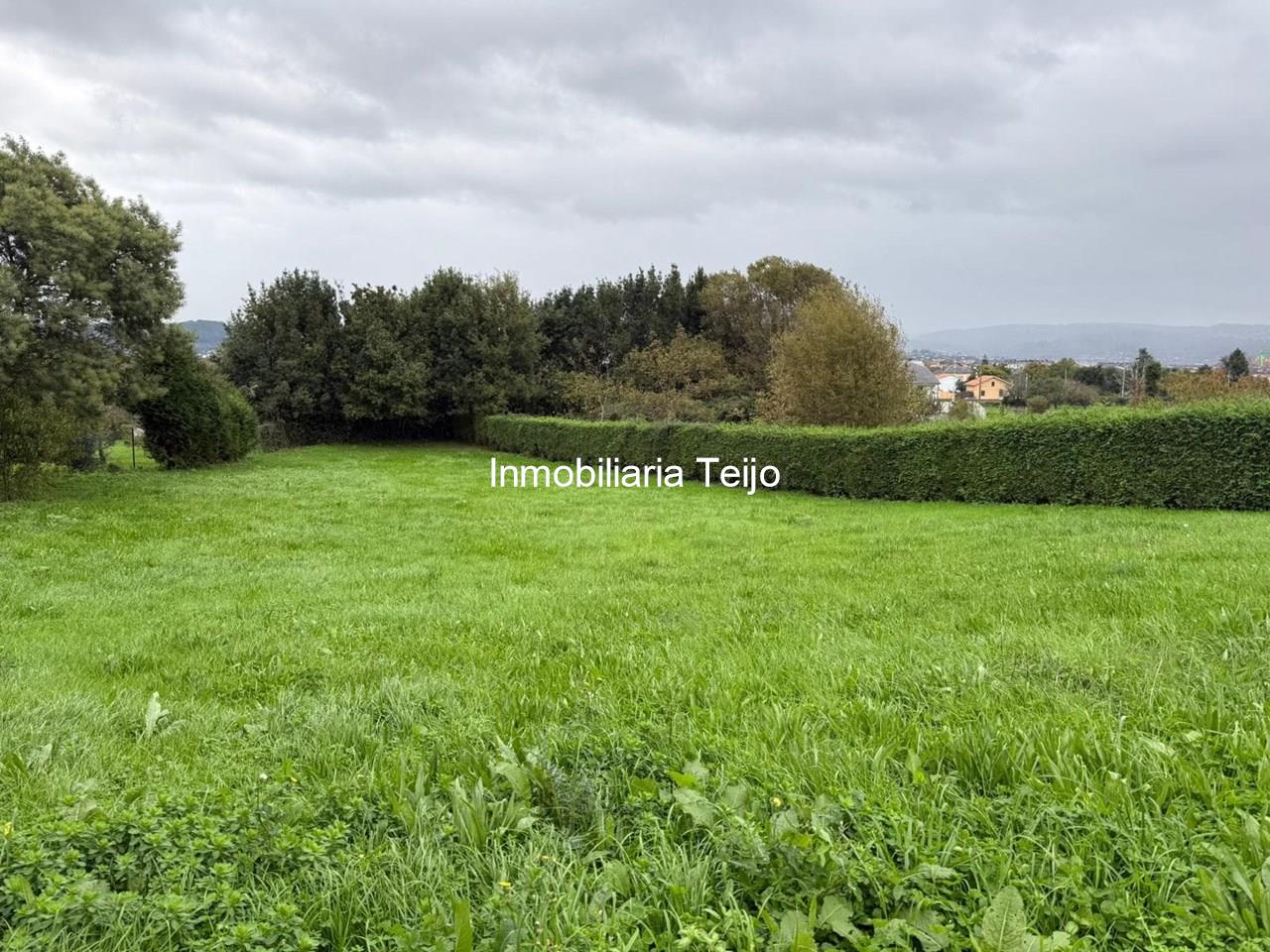 Foto 1 SE VENDE SOLAR EN LA ZONA DE SAN PEDRO