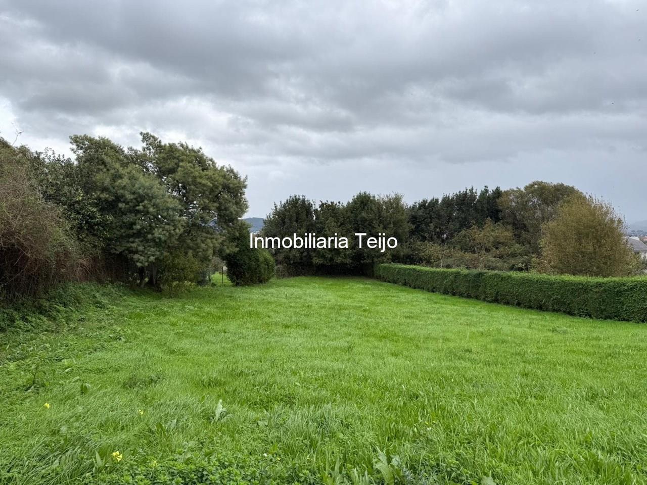 Foto 2 SE VENDE SOLAR EN LA ZONA DE SAN PEDRO