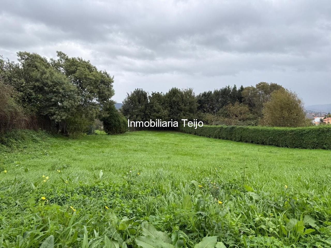 Foto 3 SE VENDE SOLAR EN LA ZONA DE SAN PEDRO