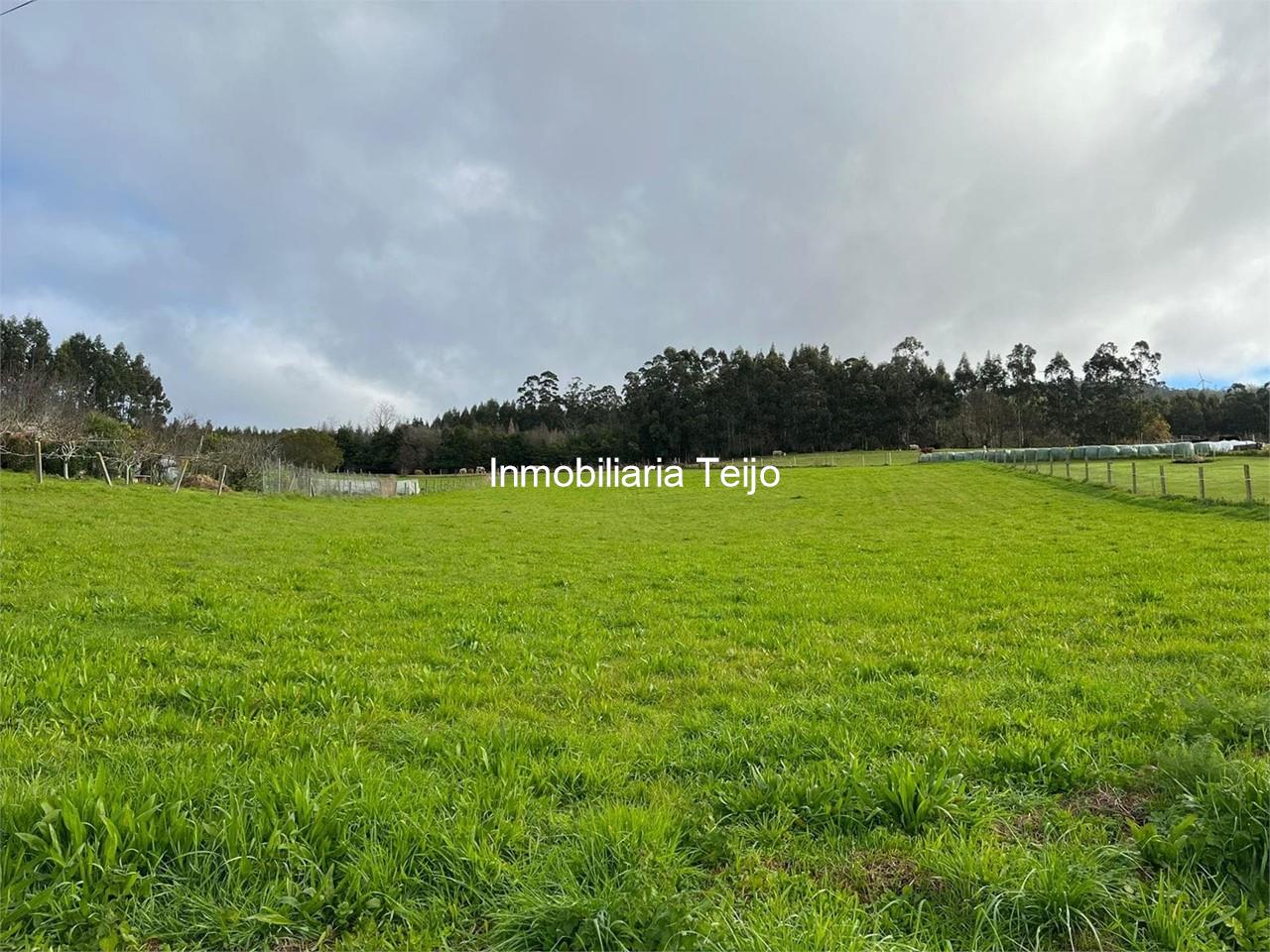 Foto 2 SE VENDE SOLAR EN LAGO
