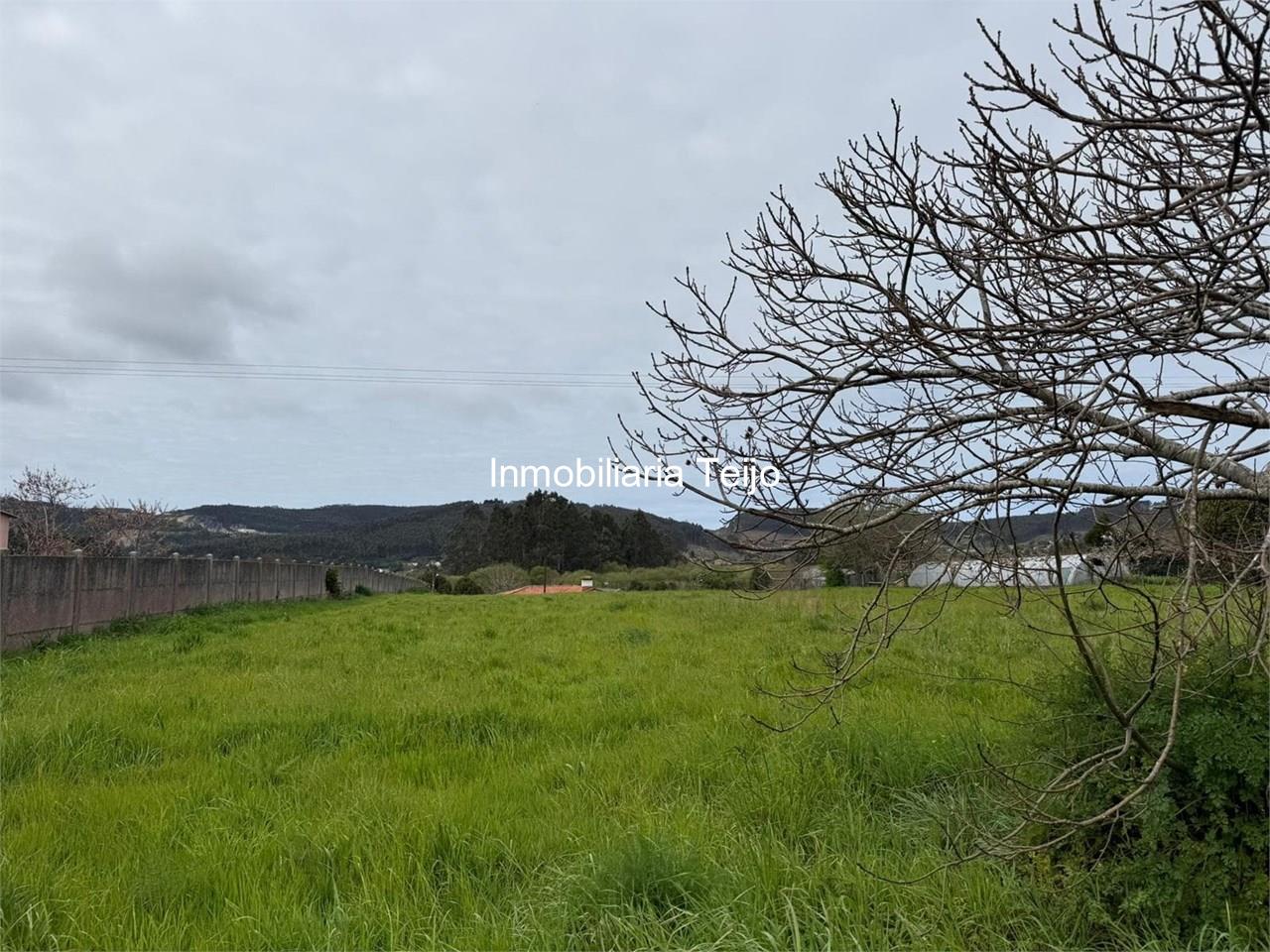 Foto 3 SE VENDE SOLAR EN SAN MATEO